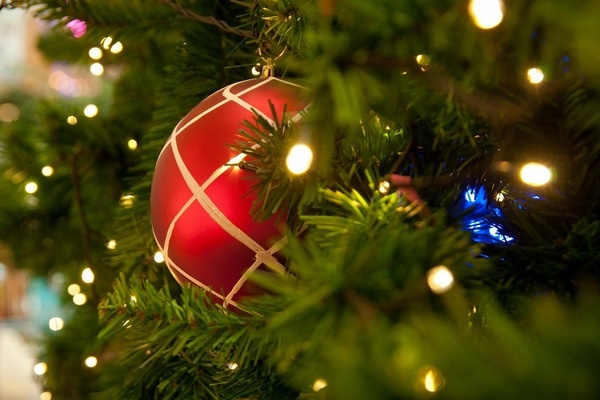 christmas-tree-shopping-ideas-real-christmas-trees-christmas-ornaments