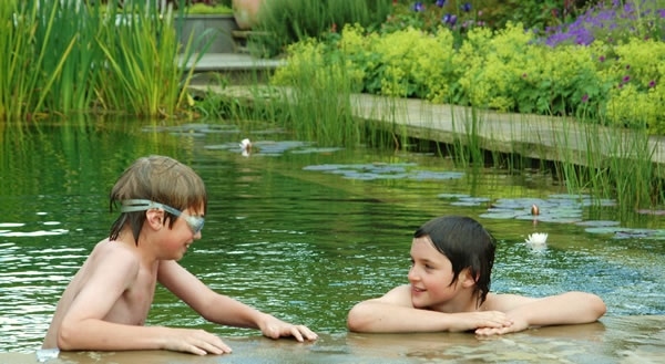 design pools ideas eco swimming pond