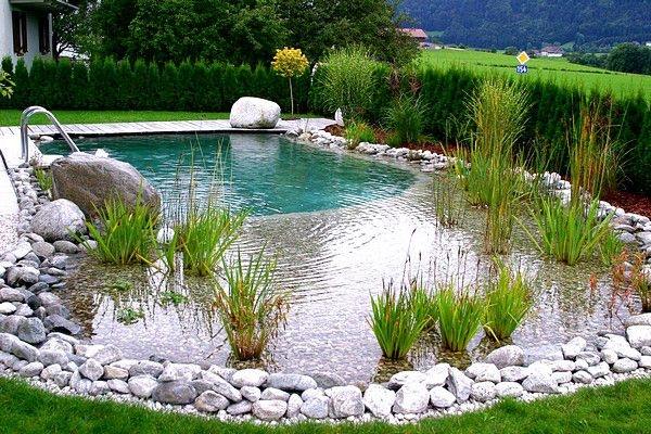 natural design ideas how to build swimming pond