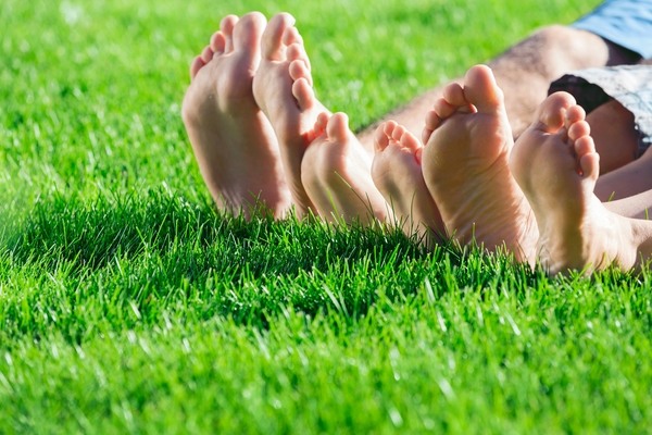 lawn care how to maintain the lawn