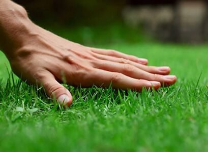 lawn-care-tips-landscaping-ideas-perfect-lawn-maintenance