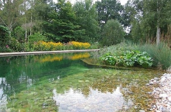 natural swimming pond garden landscape ideas backyard design
