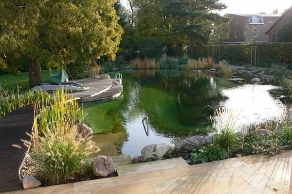 natural swimming pond natural pools design ideas garden landscape ideas pool decor
