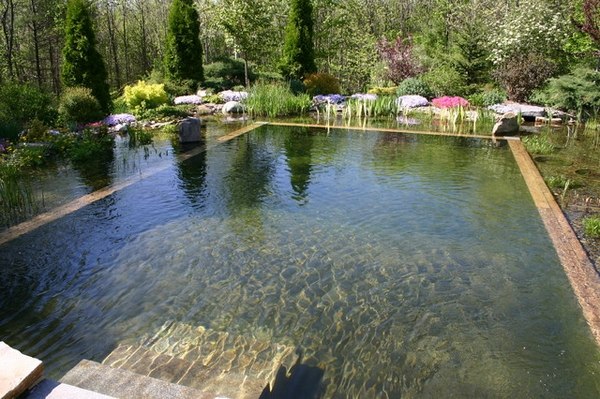 natural swimming pond natural pools garden landscape