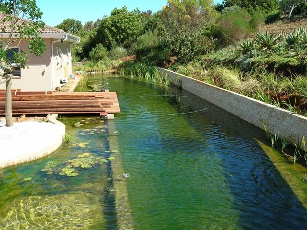 natural swimming pool designs bio swimming pool natural pools