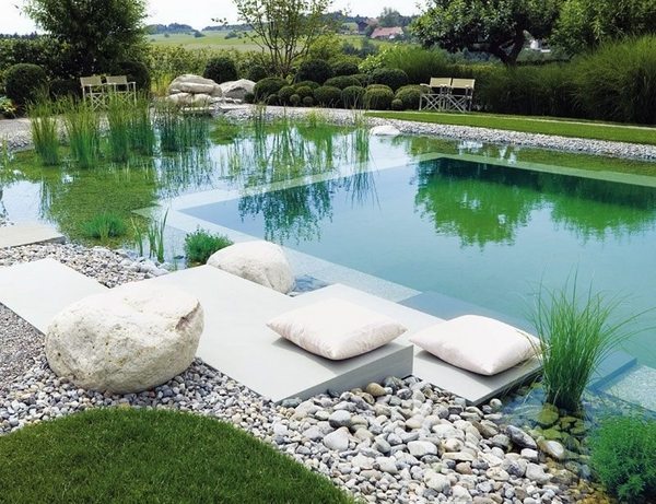 natural swimming pools bio swimming pools ideas backyard landscape