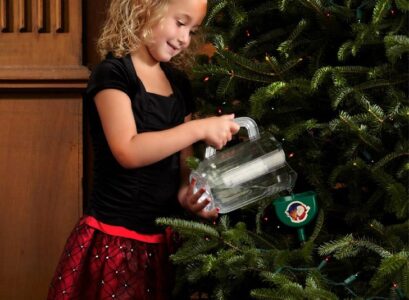 real-christmas-tree-watering-christmas-tree-care-tips-real-christmas-trees-care