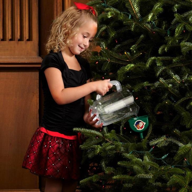 real christmas tree watering christmas tree care tips 