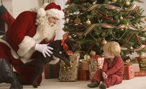 real-christmas-trees- decorating ideas santa kid presents