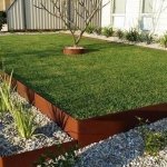 Garden landscaping ideas – how to grow horsetail reed | Deavita
