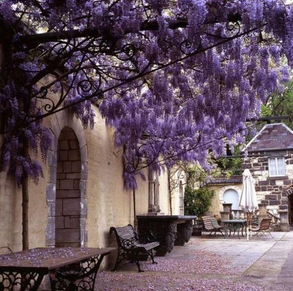 purple wisteria mediterranean patio wrought iron furniture
