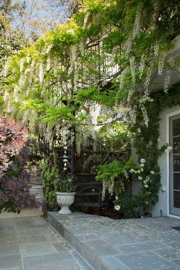 wisteria vine patio decorating ideas outdoor spiral staircase
