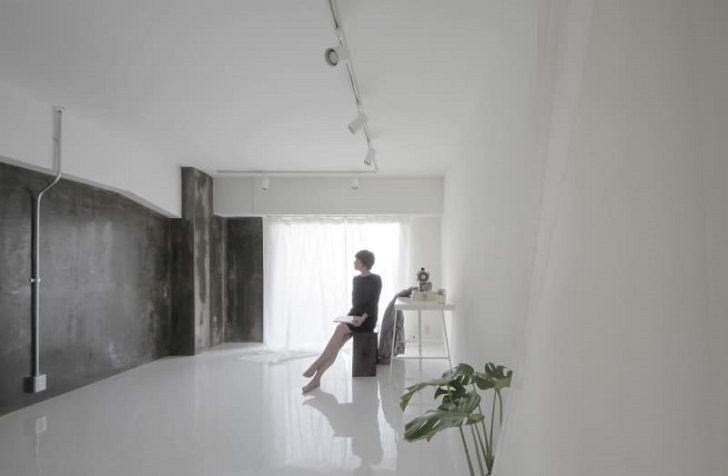 minimalist interior design jun murata small apartment renovation accent wall