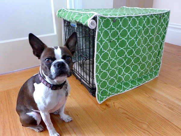 Dog-crate-and-dog-crate-cover-ideas-how-to-choose