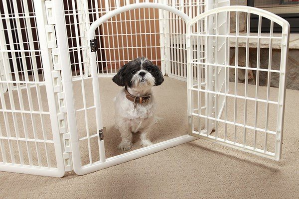 Dog-crate-and-dog-crate-cover-ideas-plastic