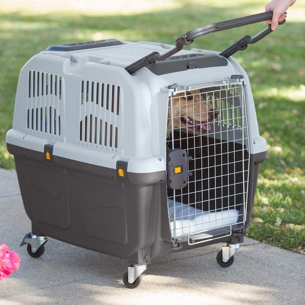 Dog-crate-and-dog-crate-cover-ideas-plastic dog crates