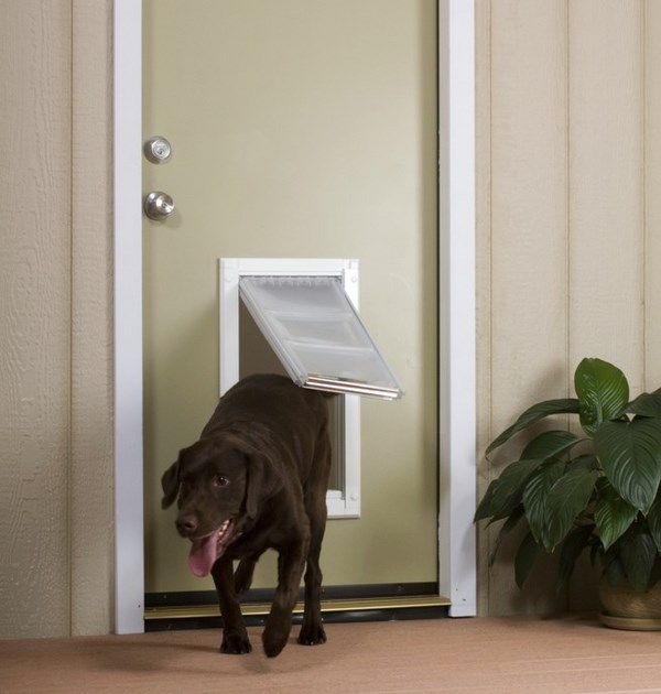  flap pet door advantages disadvantages