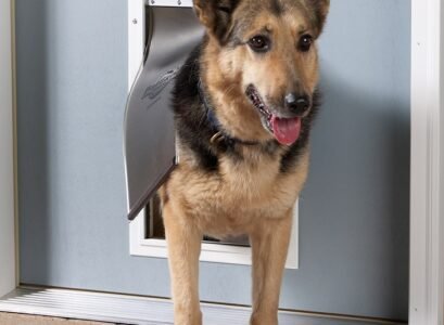 dog-doors-types-how-to-measure-dog-door-how-to-choose-dog-door
