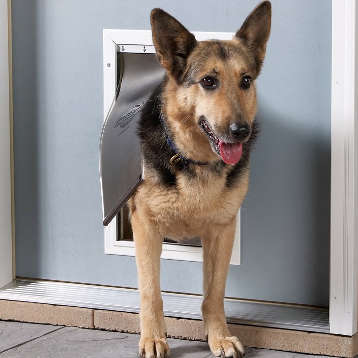 dog doors types how to measure how to choose the size of dog door