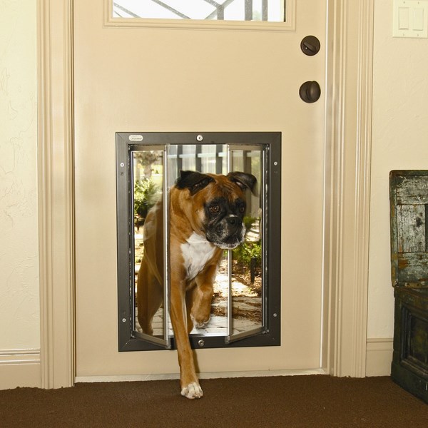 pet doors types advantages disadvantages