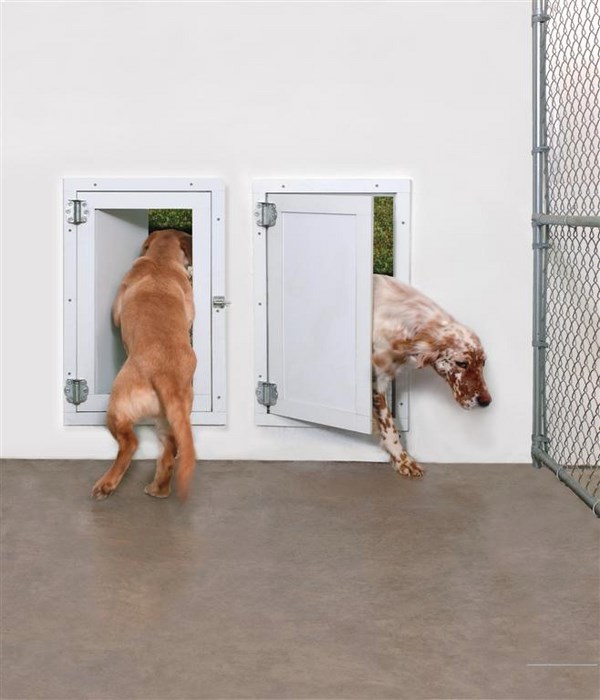 dog-doors-weather-seal-pet-door-choosing-pet-door-measuring-pet-door