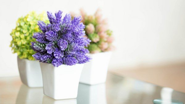 easy flowers mini garden ideas flower pots tips