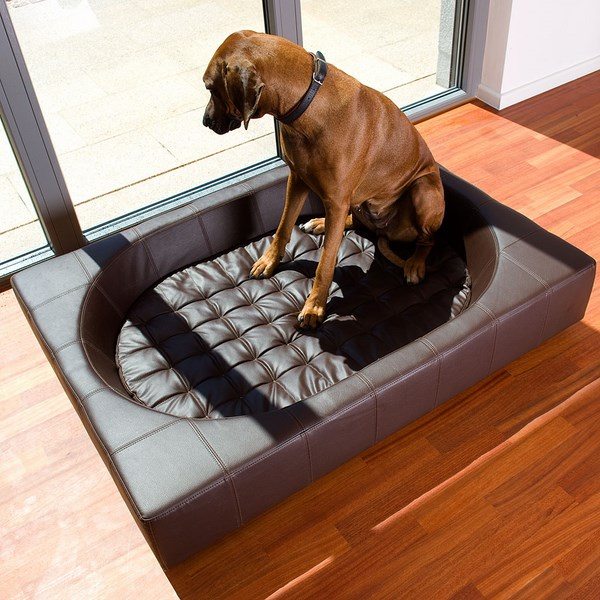 leather dog bed trendy pet furniture 