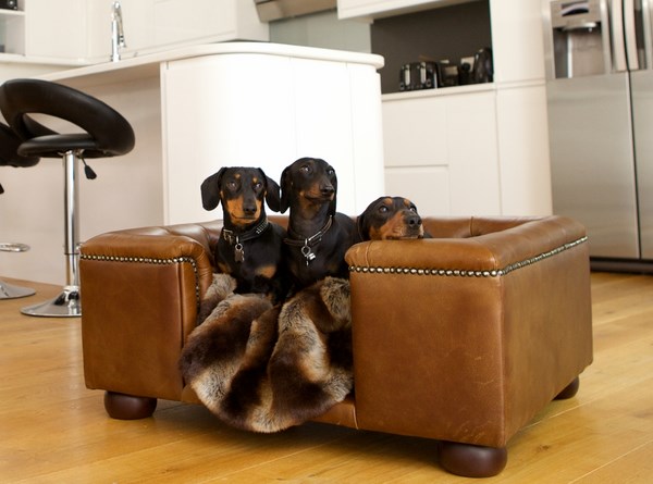 luxury beds for dogs leather beds