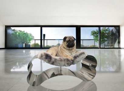 fancy-dog-beds-ideas-steel-bone-modern-dog-beds-pet-furniture
