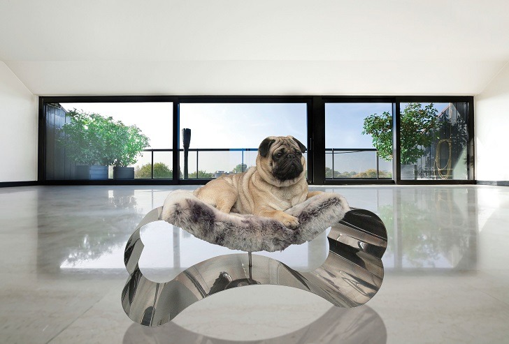 steel bone modern dog beds pet furniture