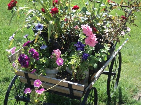  original garden decor ideas