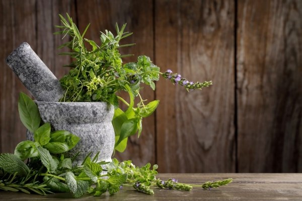 herb garden ideas