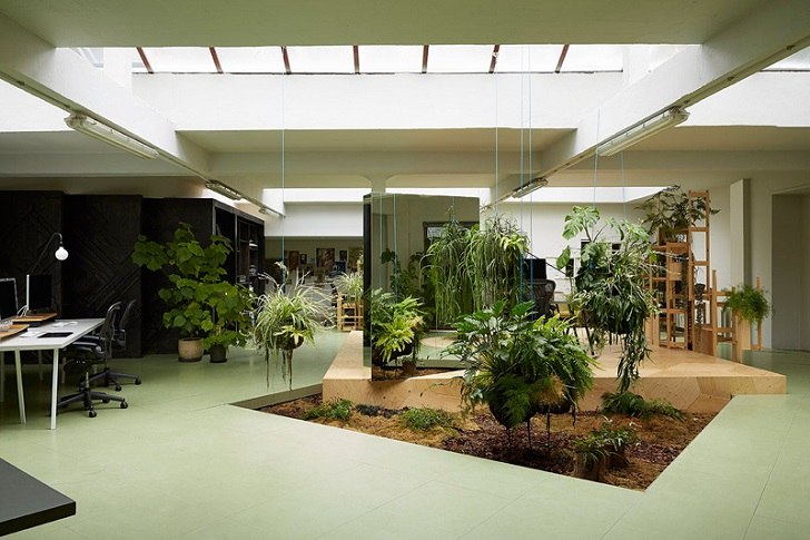 indoor garden design ideas how to design a successful indoor garden 
