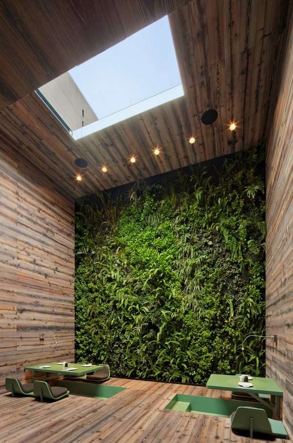 Indoor garden design ideas u2013 types of indoor gardens and plant tips