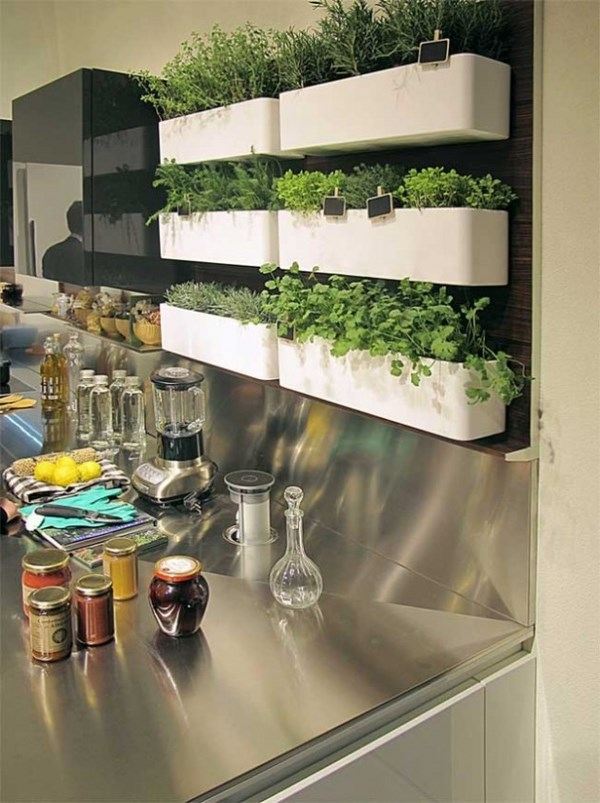 indoor herb gardens kitchen decor