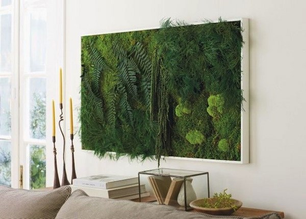 vertical gardens living wall modern living room