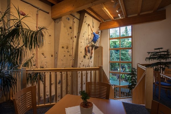 indoor rock climbing wall design ideas home gym activities