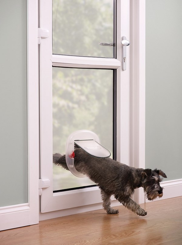 modern pros cons types how to choose dog door