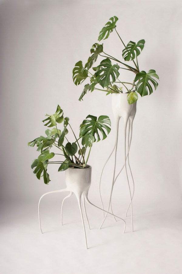 modern flower stand ideas white plant stands monstera 