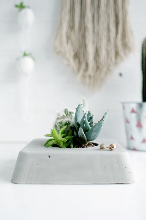 DIY concrete flower pot ideas succulents