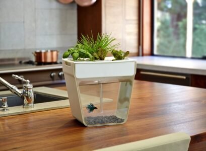 modern-indoor-flower-pots-aquarium-planter-house-plants-ideas