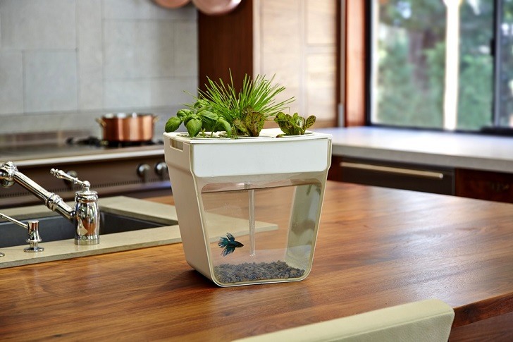 modern indoor flower pots aquarium planter house plants ideas