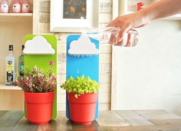 creative flower pot ideas indoor plants 