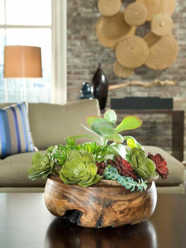 house plants succulent wood flower pot