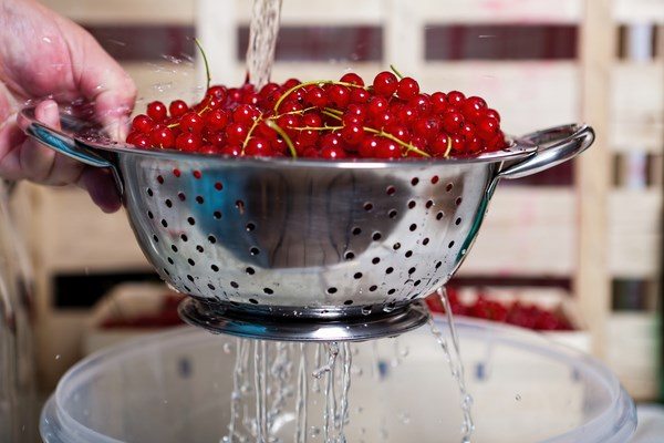 how to prevent what not to put down the drain fruits