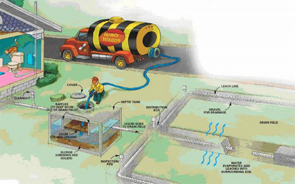 how septic systems work cleaning pumping maintenance schedule