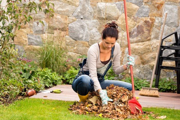 septic system maintenance tips cleaning fallen leaves avoid clogs
