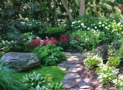 Shade-garden-deasign-ideas-and-backyard-landcsape