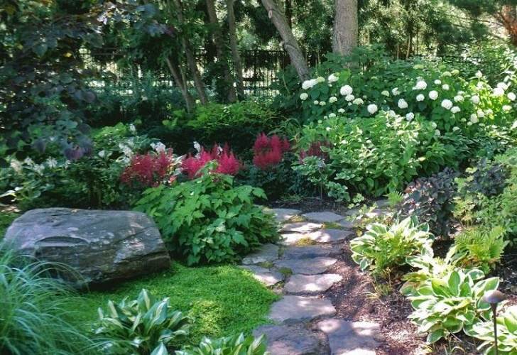 Shade-garden-deasign-ideas-and-backyard-landcsape