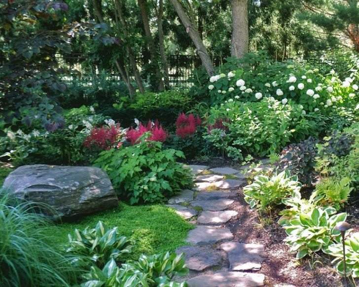 Shade-garden-deasign-ideas-and-backyard-landcsape